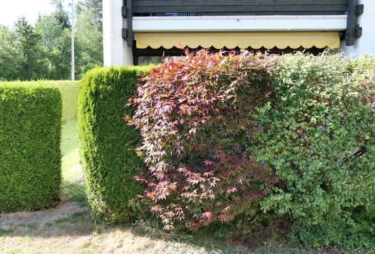 01-S�dansicht Bad T�lz Erdgeschosswohnung Sofort frei: Helle 2-Zimmer-Wohnung mit Terrasse