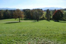 01-Grundst�ck Grundst�ck mit Weitblick (kein Baugrundst�ck)