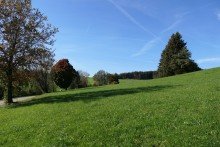 03-Grundst�ck Grundst�ck mit Weitblick (kein Baugrundst�ck)